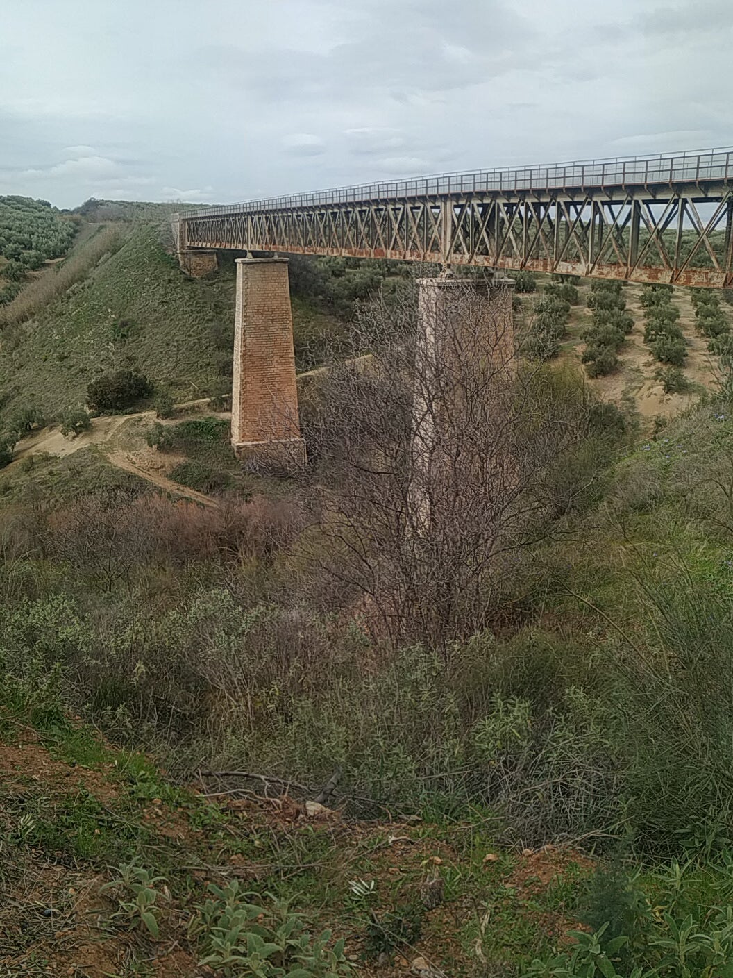 Uno de los tramos de la Vía Verde del Aceite entre Jaén y Córdoba.