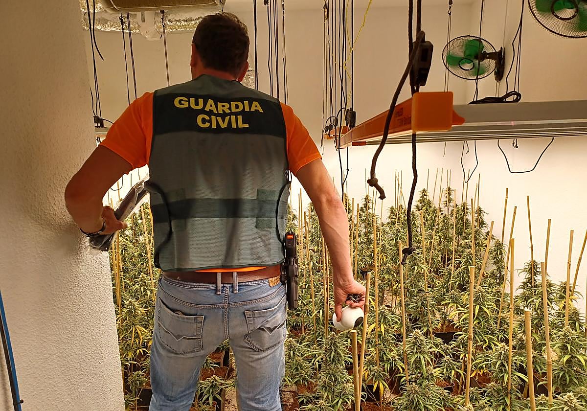 La Guardia Civil en la actuación.