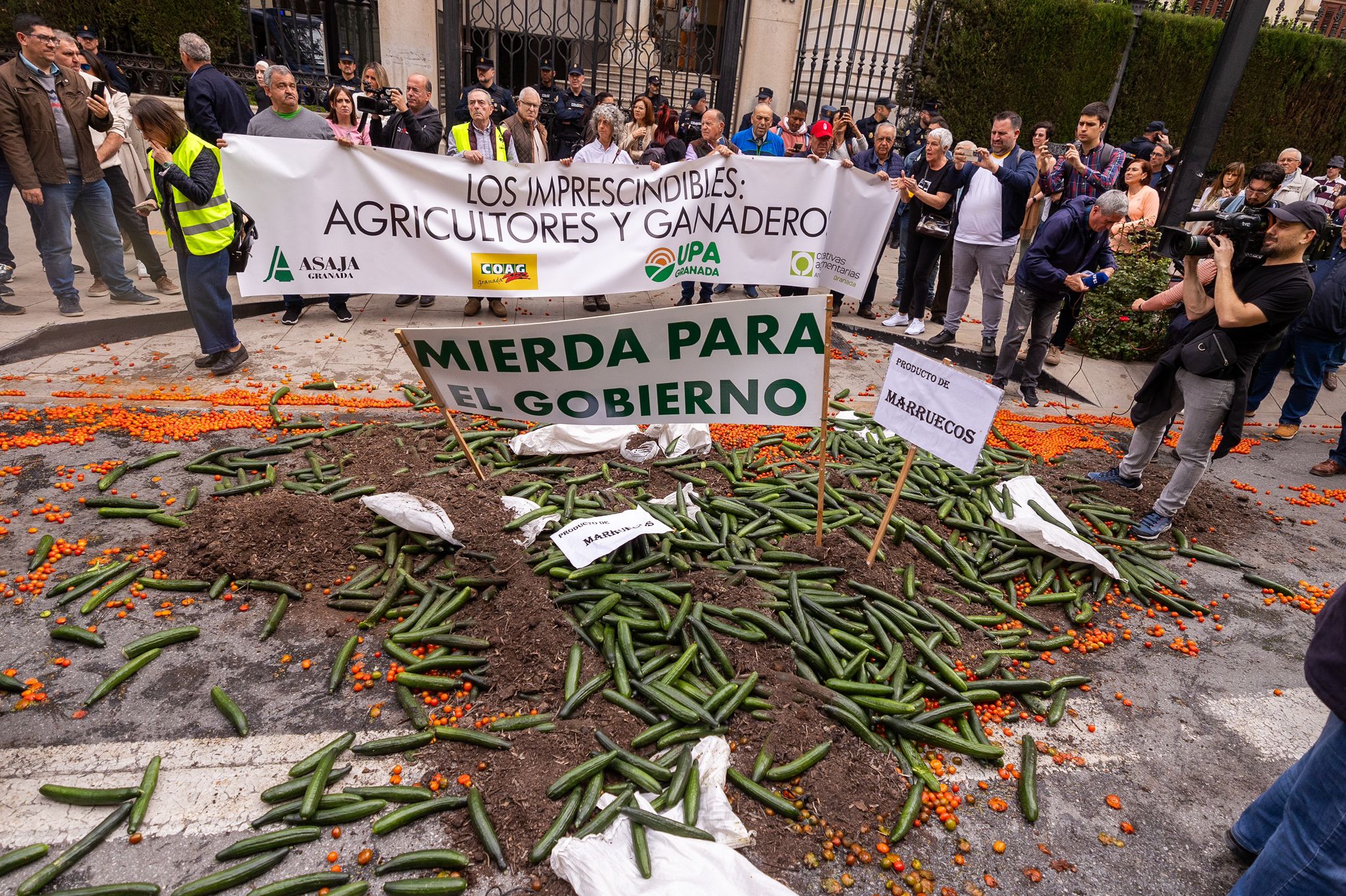 La tractorada de Granada, en imágenes