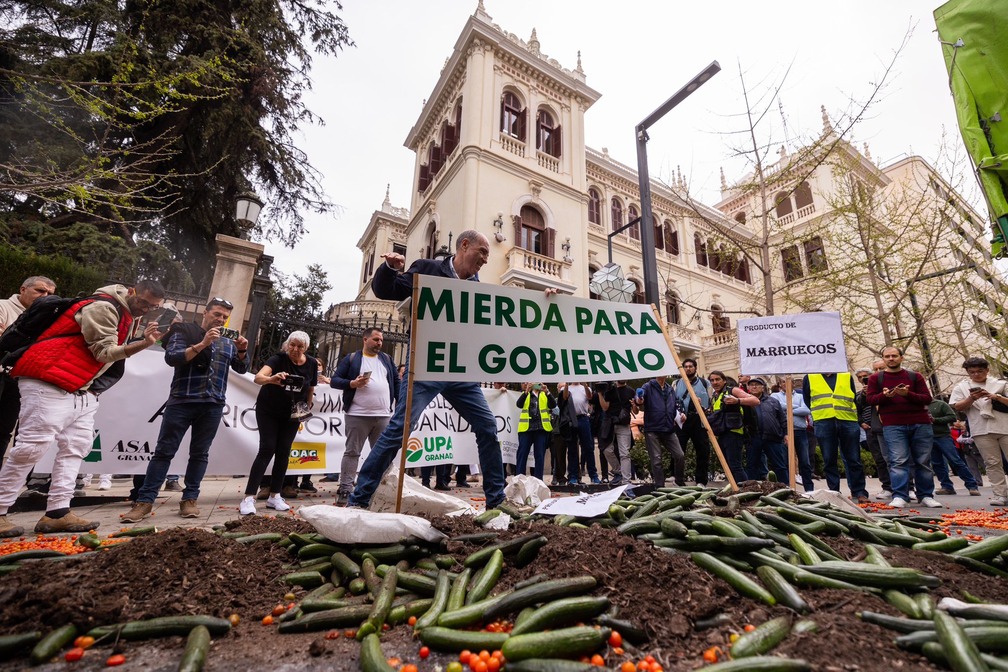 La tractorada de Granada, en imágenes