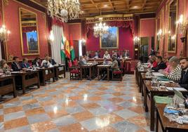 Bronco pleno por la IA en el Ayuntamiento de Granada