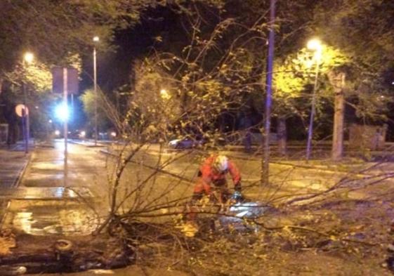Un bombero despeja una calle cortada por la caída de un árbol.