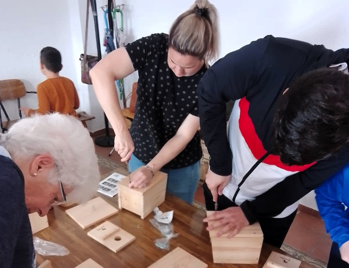 Montaje de las casas para pájaros.