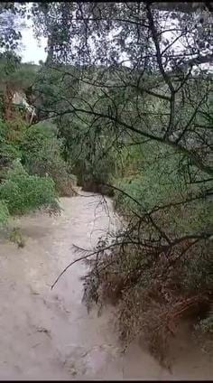 La crecida del río Eliche a su paso por los Cañones se lleva parte del sendero recuperado