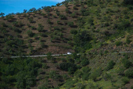 Las imágenes de la carretera de Sorvilán ya operativa