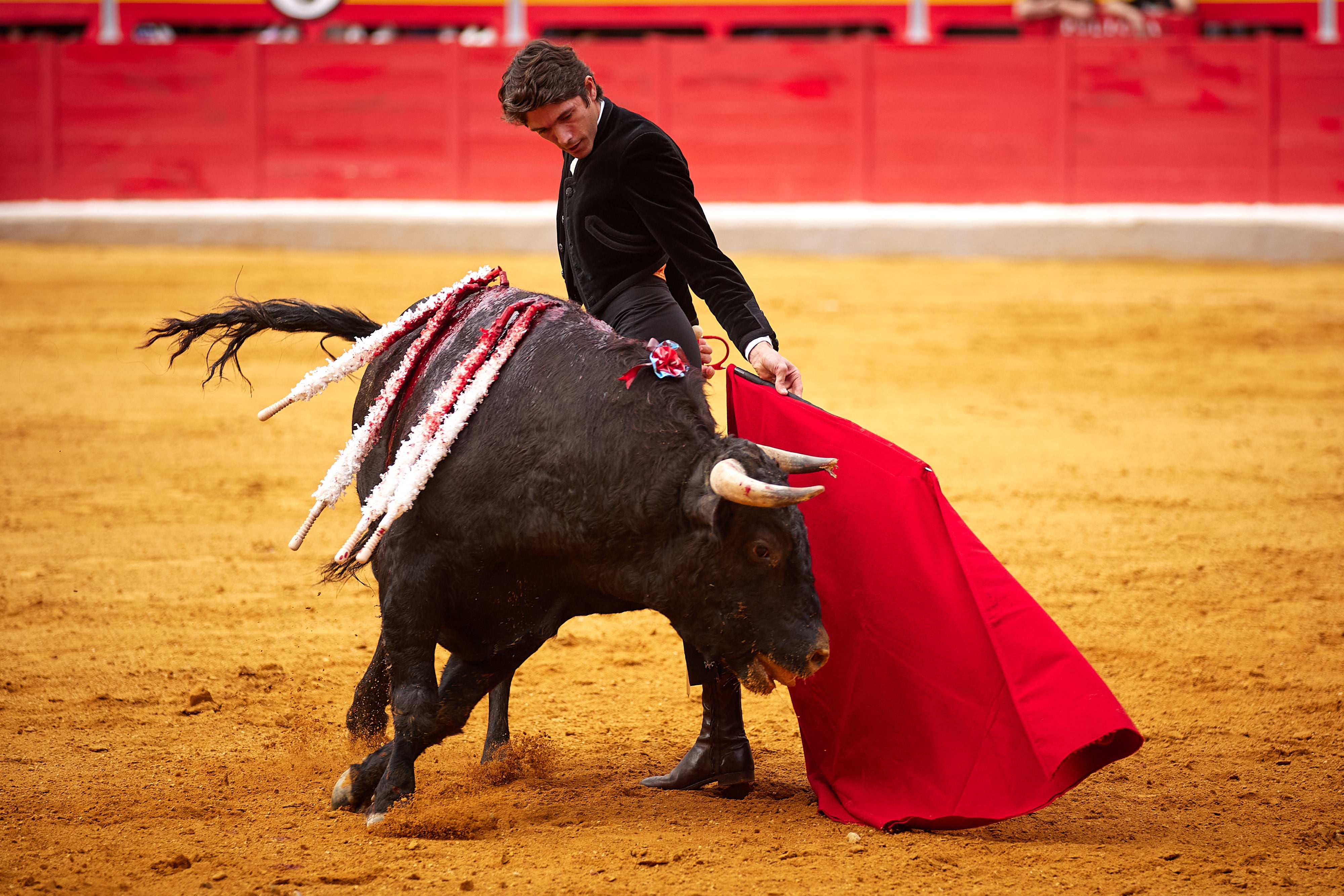 Las mejores imágenes del festival taurino de Granadown