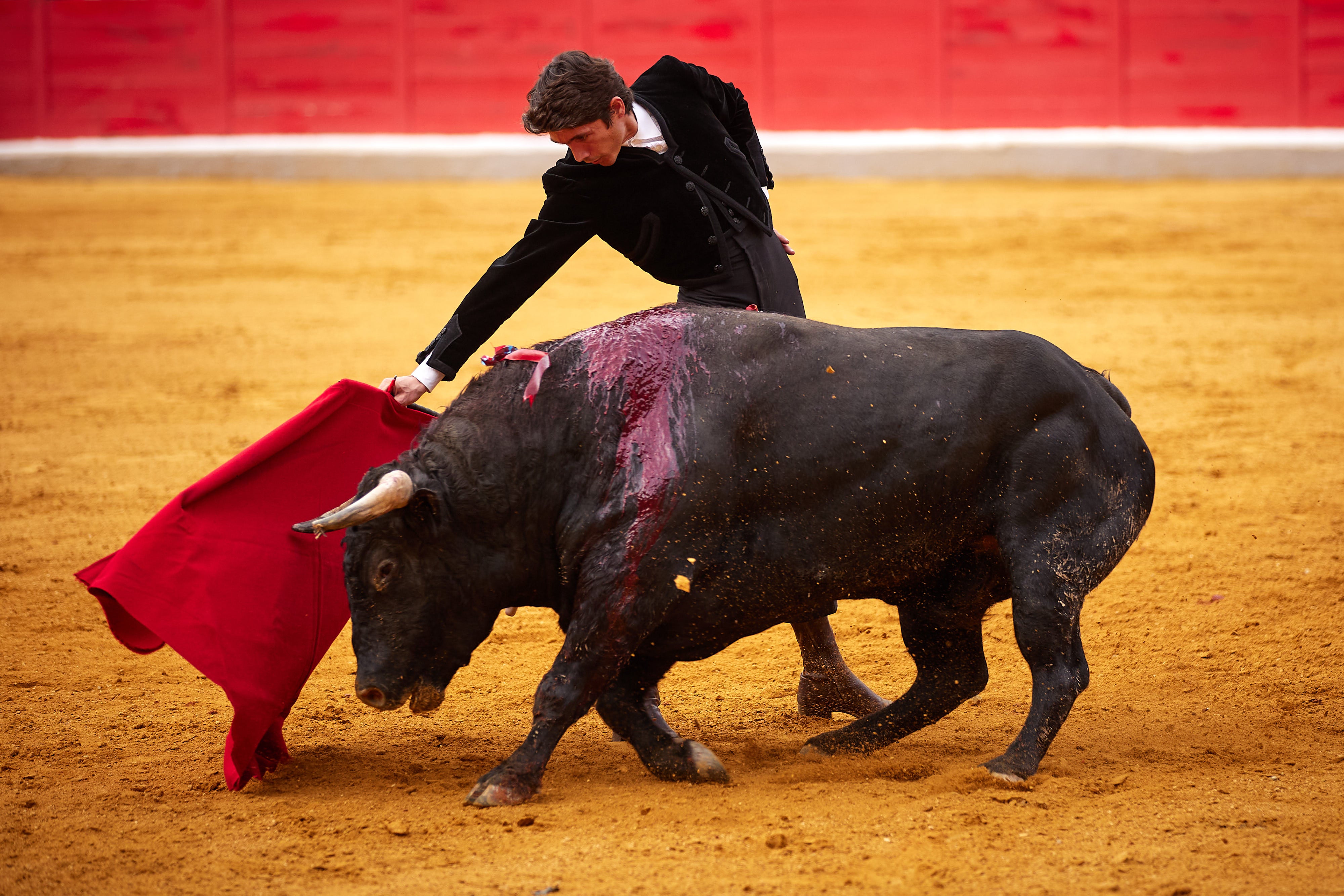 Las mejores imágenes del festival taurino de Granadown