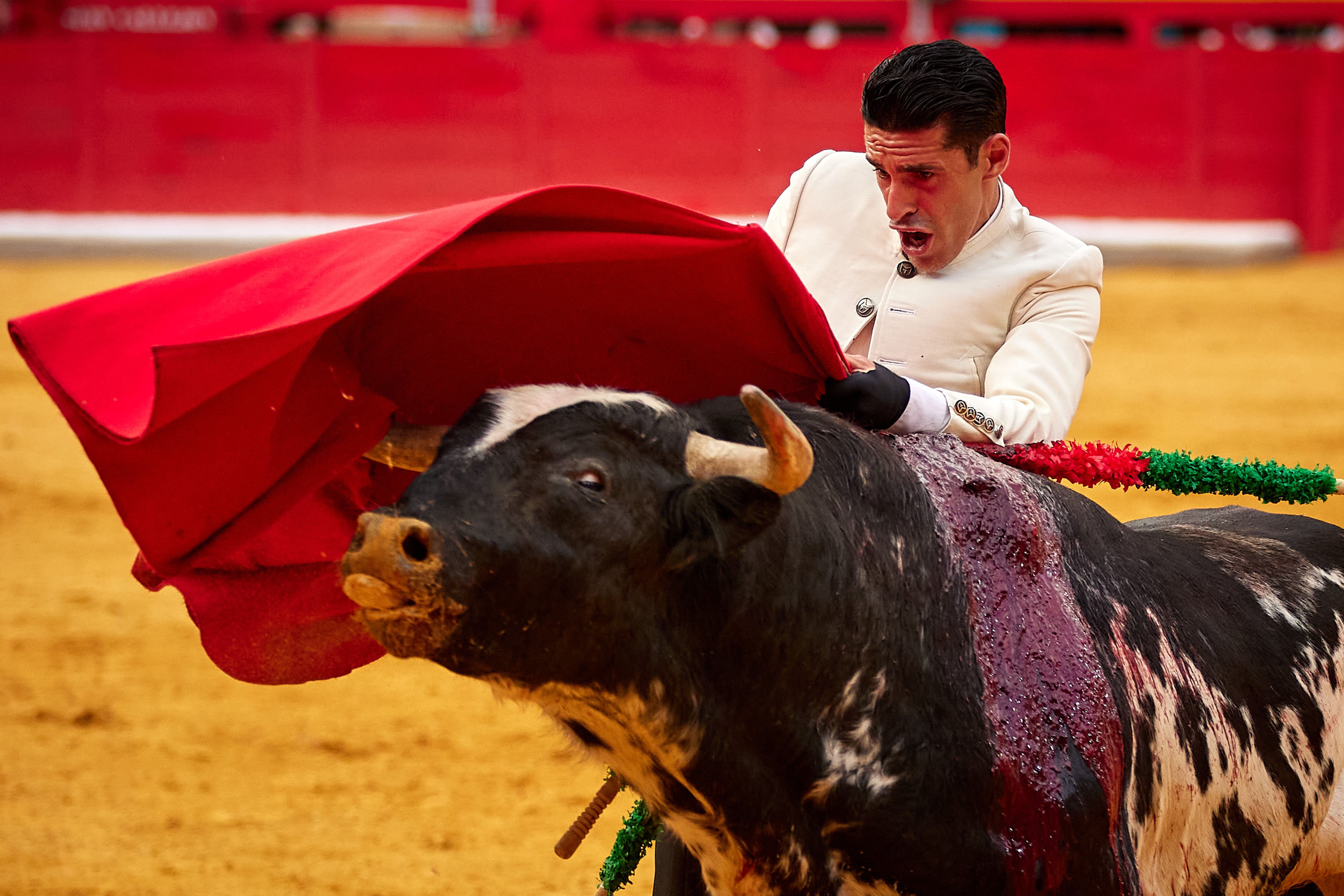 Las mejores imágenes del festival taurino de Granadown