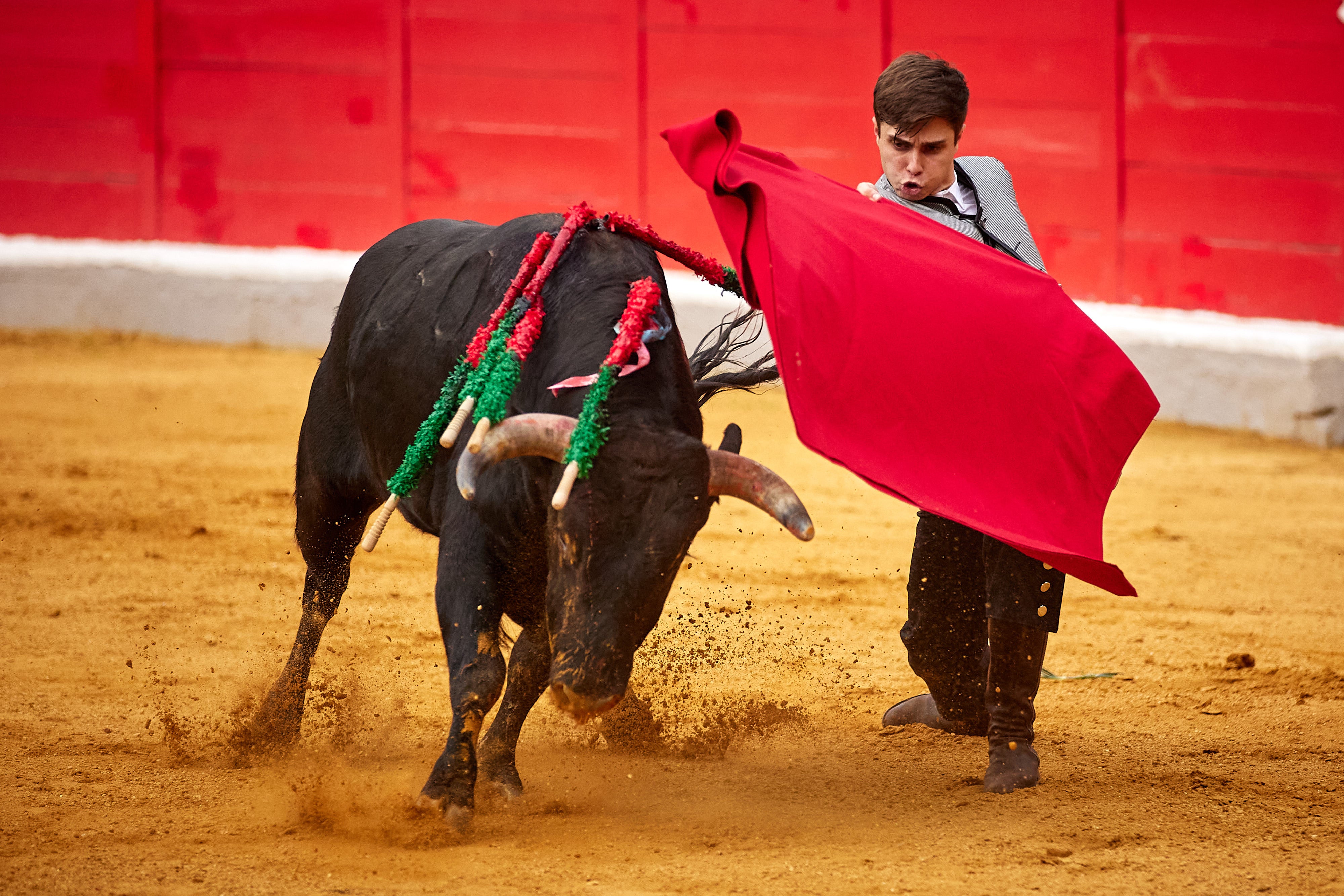 Las mejores imágenes del festival taurino de Granadown