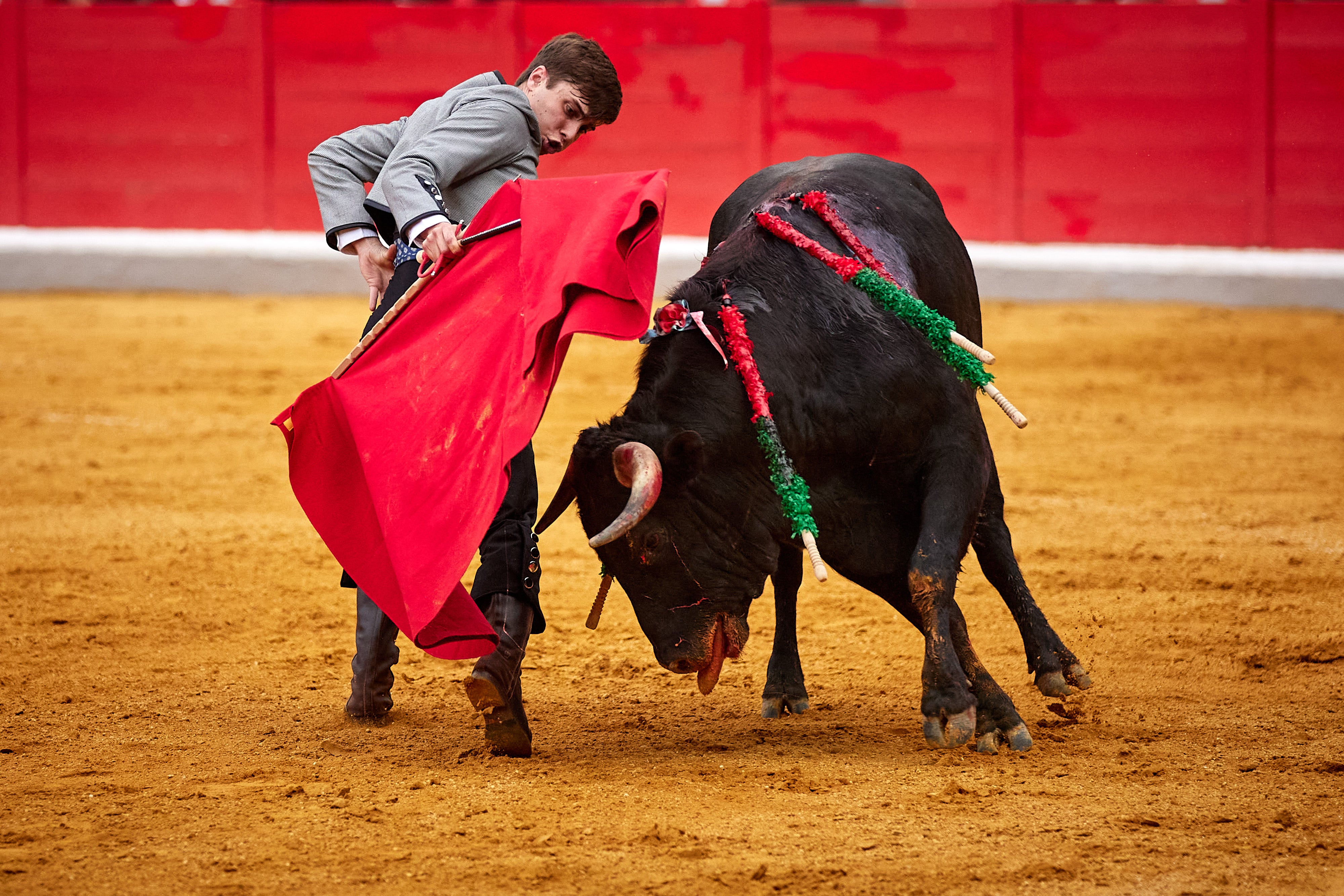 Las mejores imágenes del festival taurino de Granadown