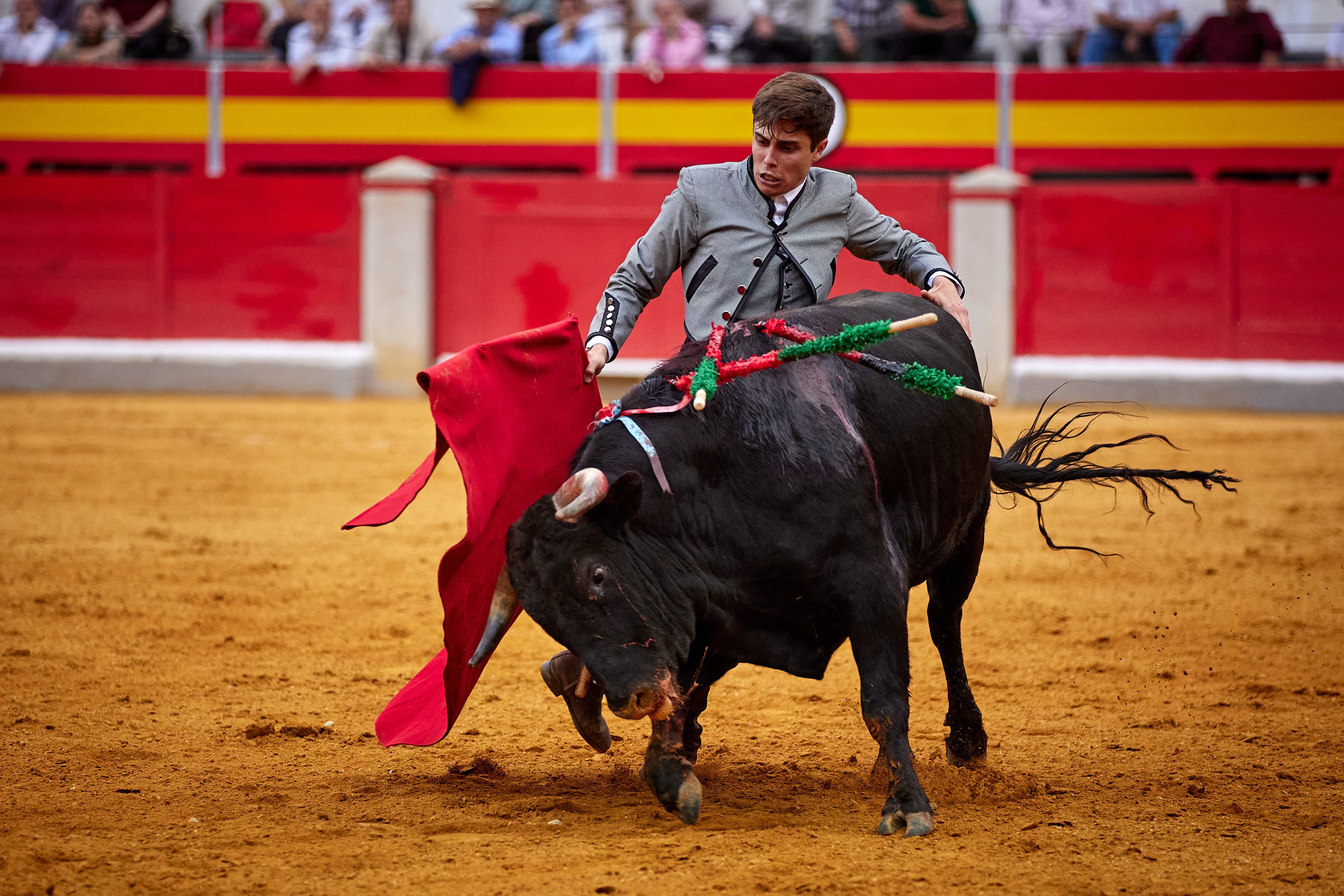 Las mejores imágenes del festival taurino de Granadown