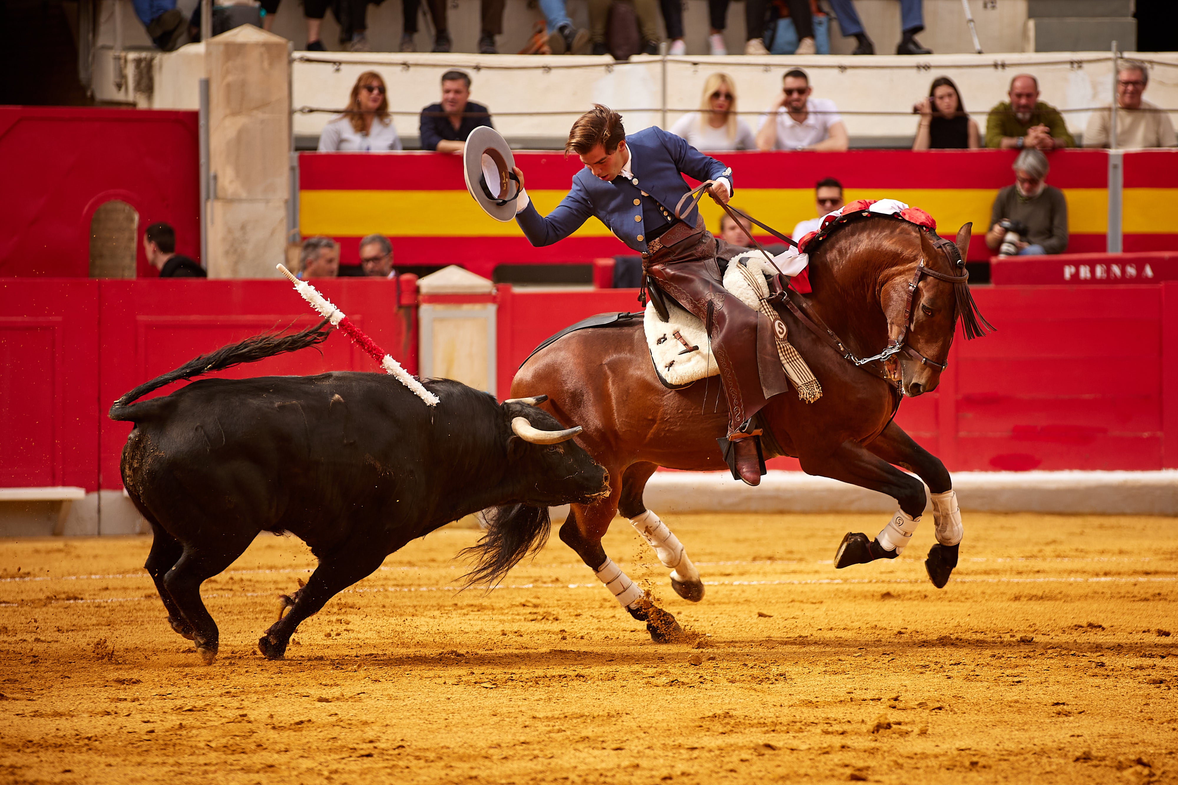 Las mejores imágenes del festival taurino de Granadown