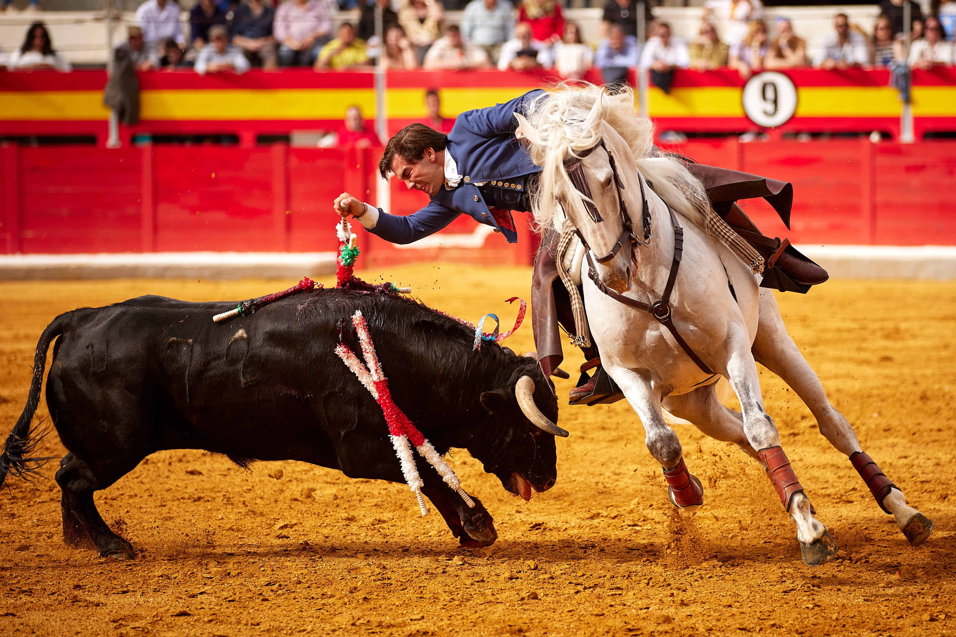 Las mejores imágenes del festival taurino de Granadown