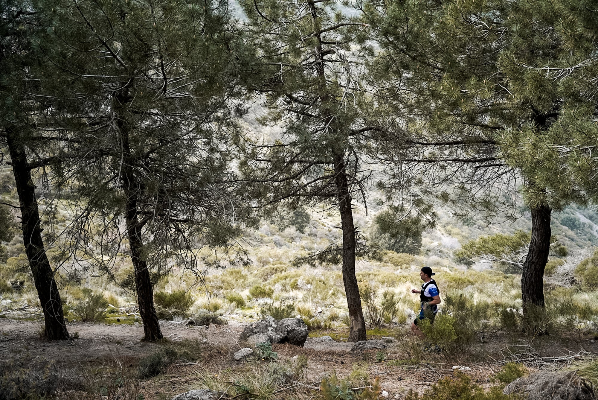 Las mejores imágenes de la Ultra de Sierra Nevada