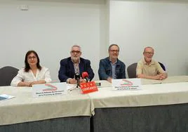 Inmaculada Idáñez, José Carlos Tejada, Miguel Arranz y Antonio Fernández.