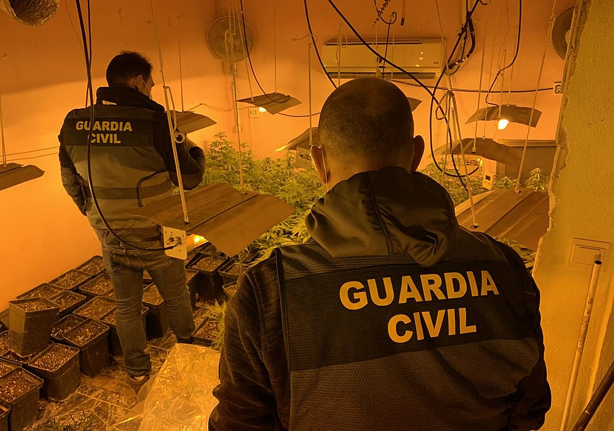 Operación de la Guardia Civil contra el tráfico de droga.
