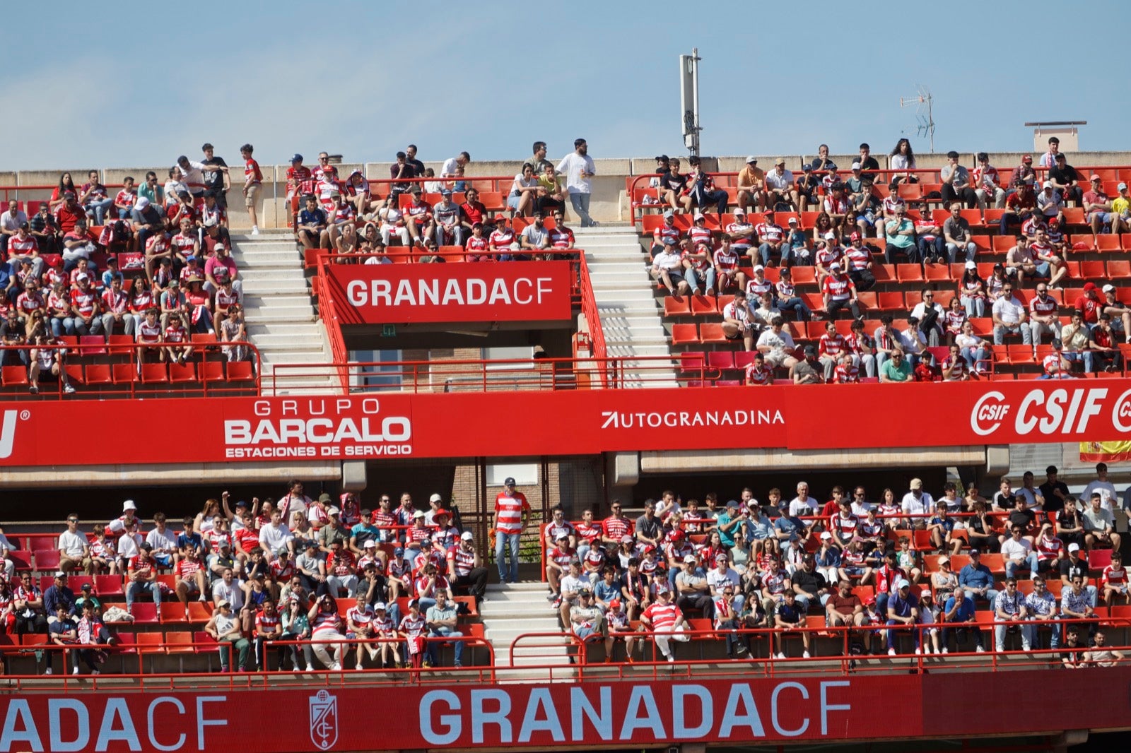 Encuéntrate en la grada en el partido entre Granada y Alavés