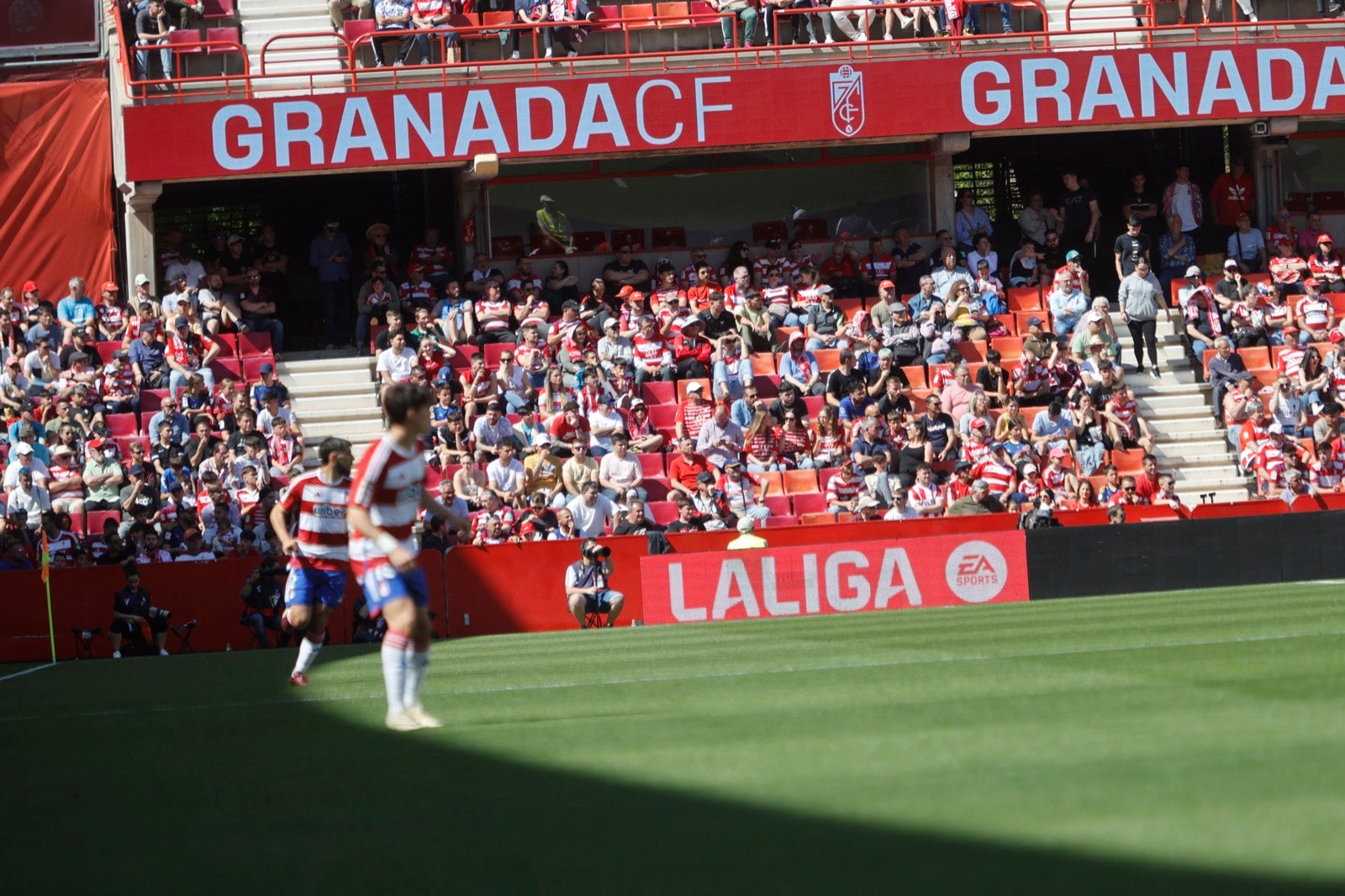 Encuéntrate en la grada en el partido entre Granada y Alavés