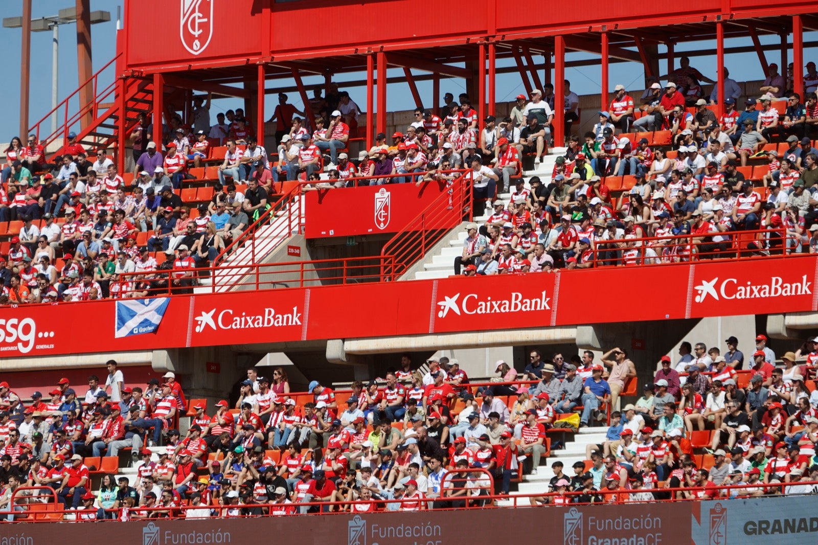 Encuéntrate en la grada en el partido entre Granada y Alavés