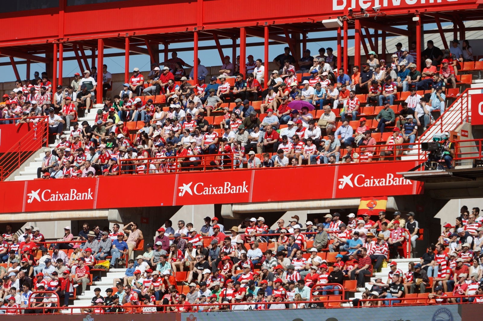 Encuéntrate en la grada en el partido entre Granada y Alavés