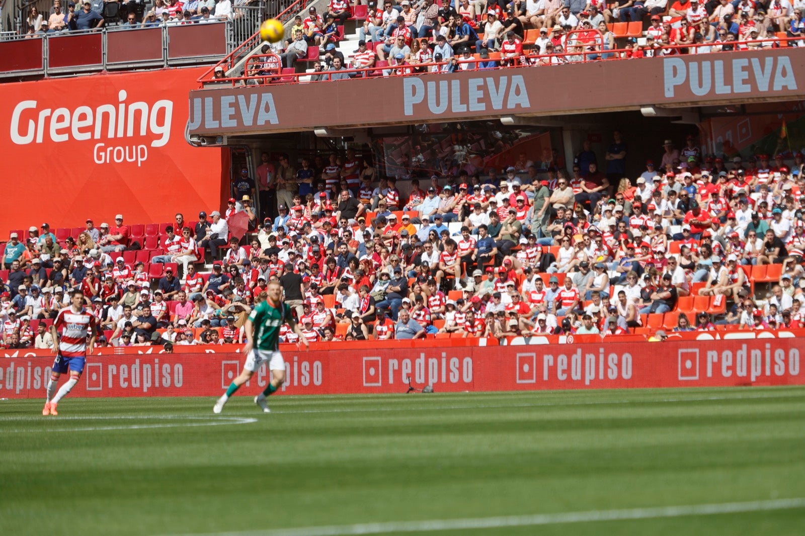 Encuéntrate en la grada en el partido entre Granada y Alavés