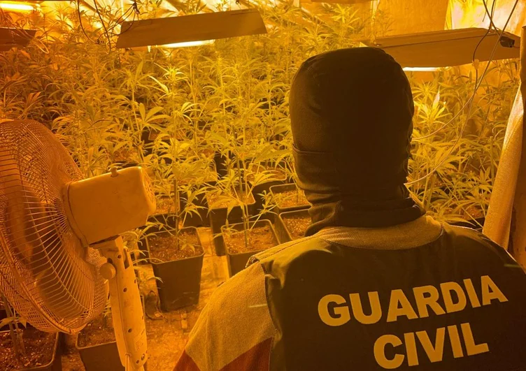 Operación 'Bad Wire' en Atarfe: caen cuatro centros de producción de marihuana