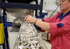 La Fábrica Nacional de Moneda y Timbre emite los númeors de acuñación de monedas