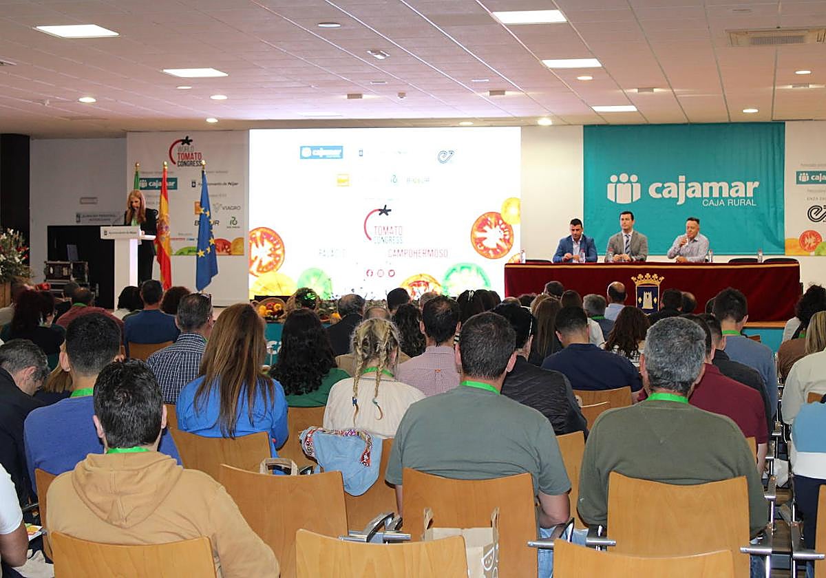 El futuro del tomate está ligado al rugoso