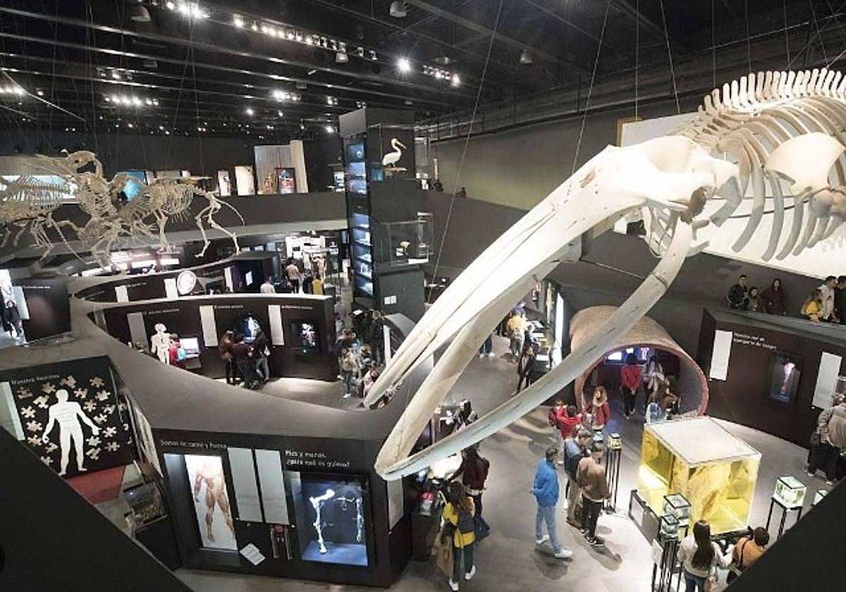 El Parque de las Ciencias aprueba su nueva tarifa de precios para la cesión de espacios e instalaciones