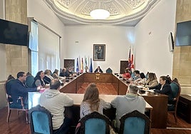 Nuevo Consejo Escolar Municipal en Baeza.