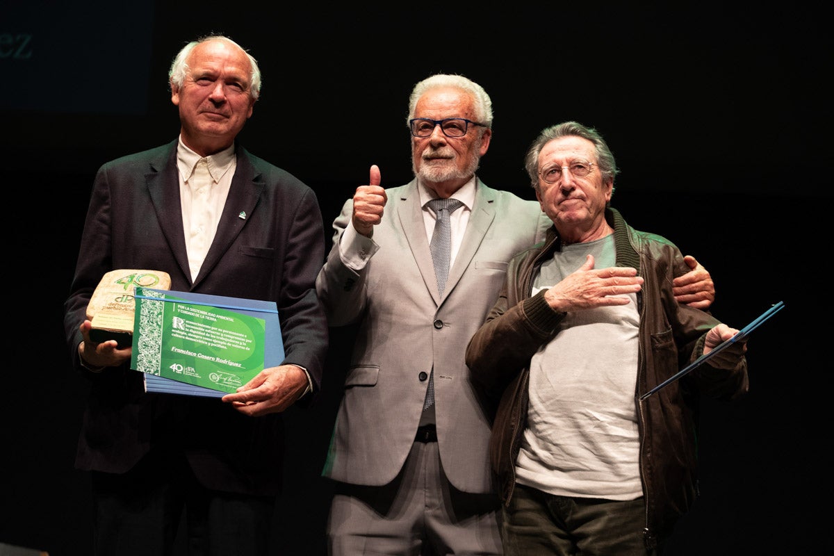 La entrega de las distinciones del Defensor del Pueblo Andaluz, en imágenes