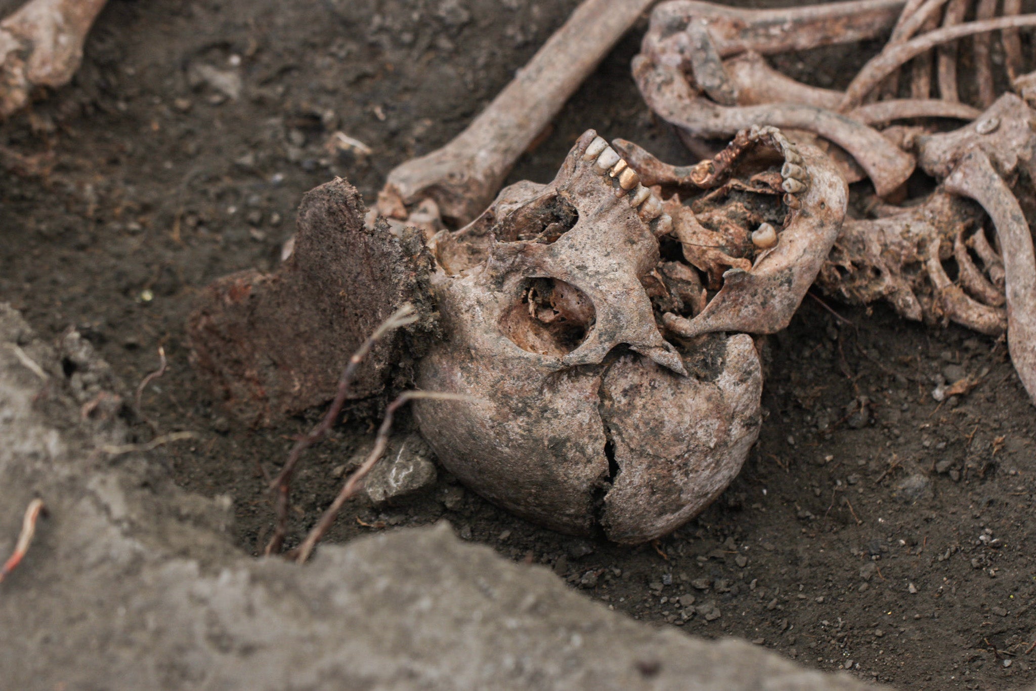 Las imágenes de los trabajos de arqueología en Víznar