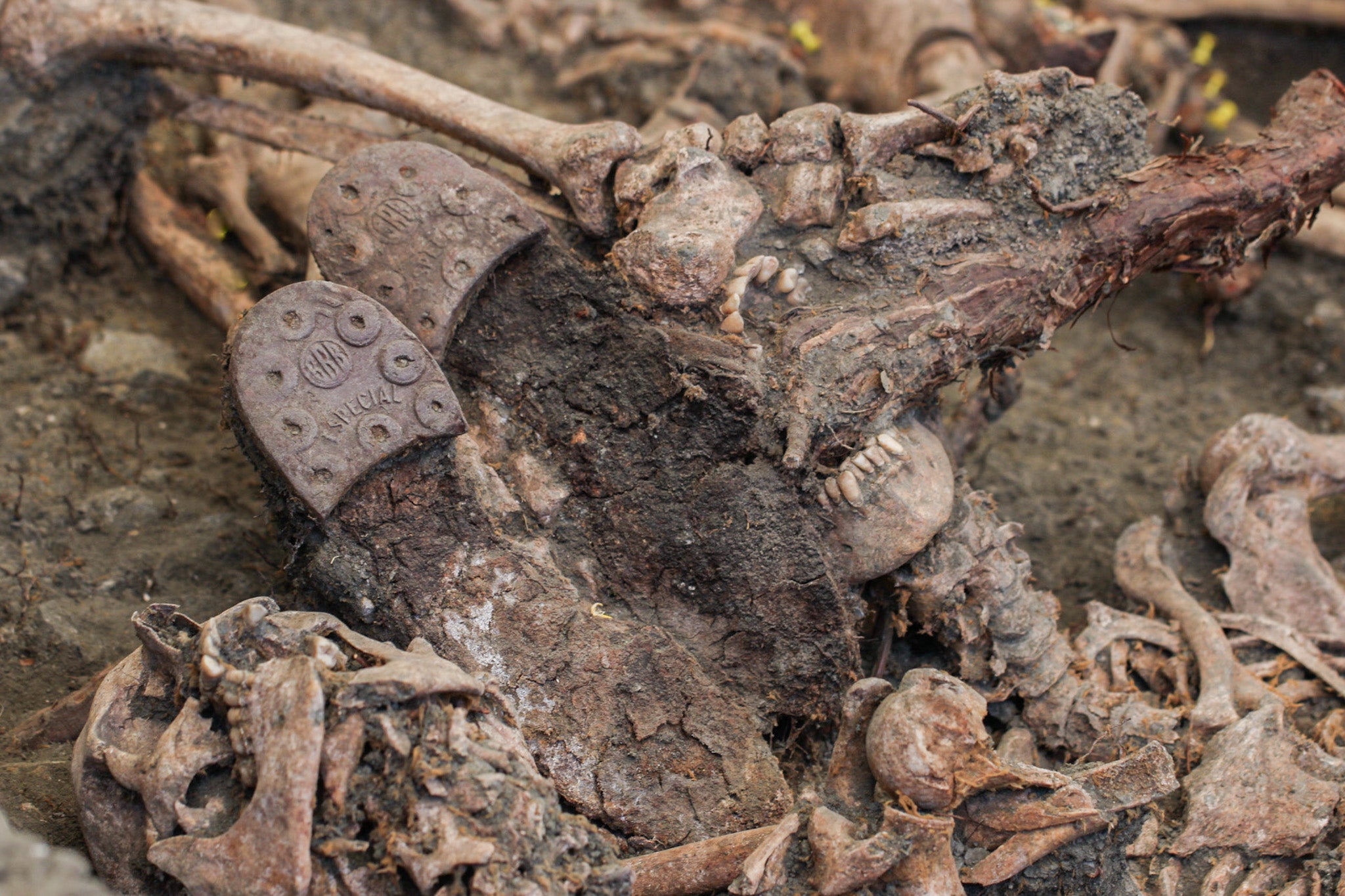 Las imágenes de los trabajos de arqueología en Víznar