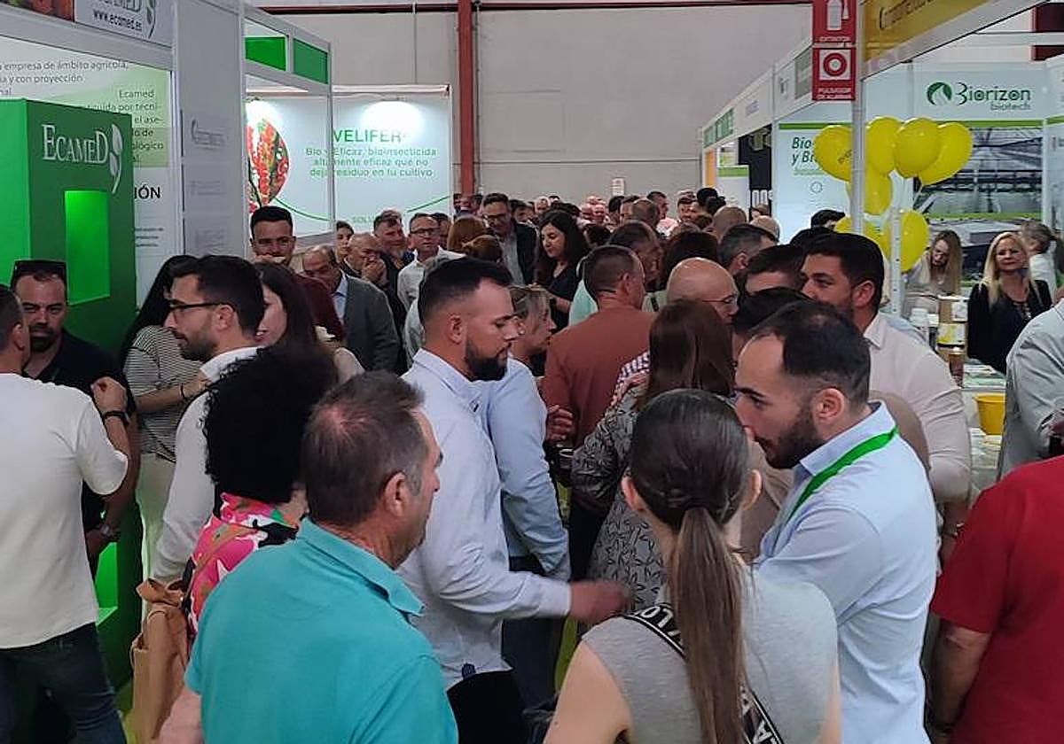 Los agricultores buscan soluciones al rugoso en el segundo día de Expolevante