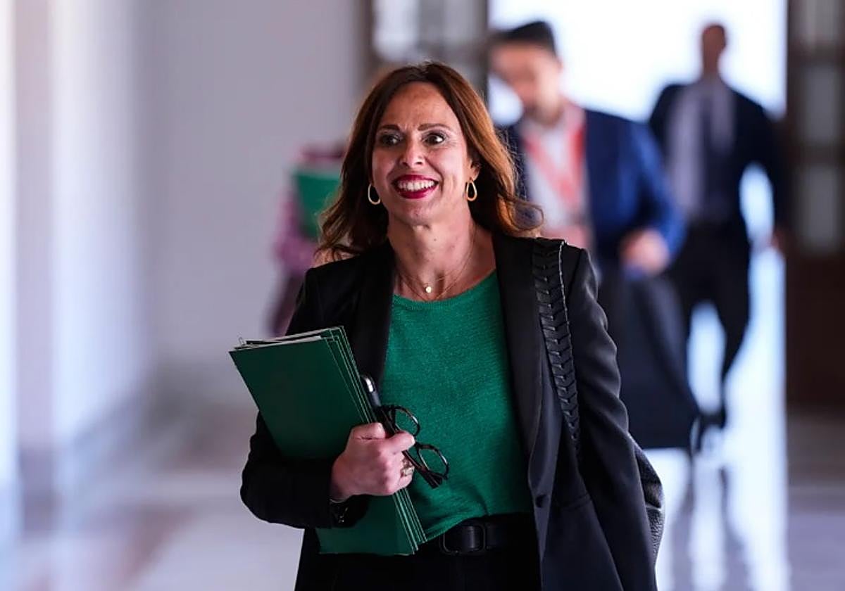 Rocio Díaz se dirige a la comisión parlamentaria.