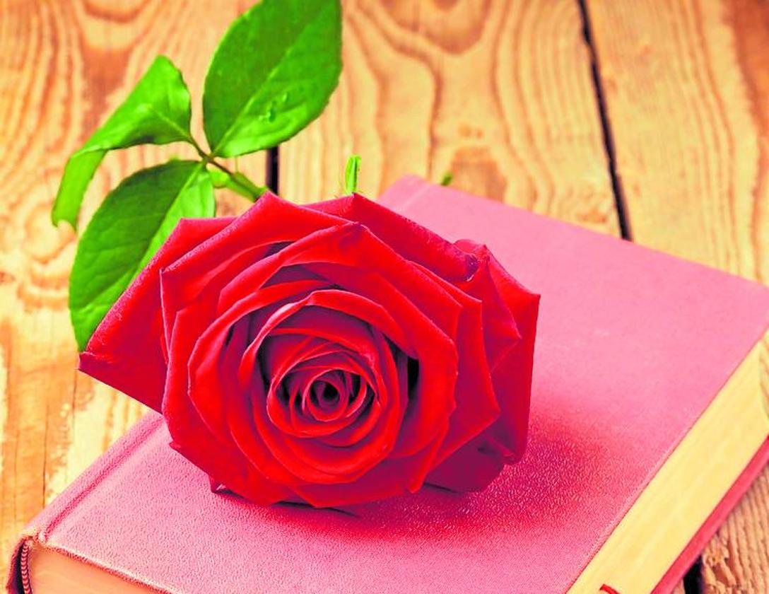 Barcelona, libros y rosas