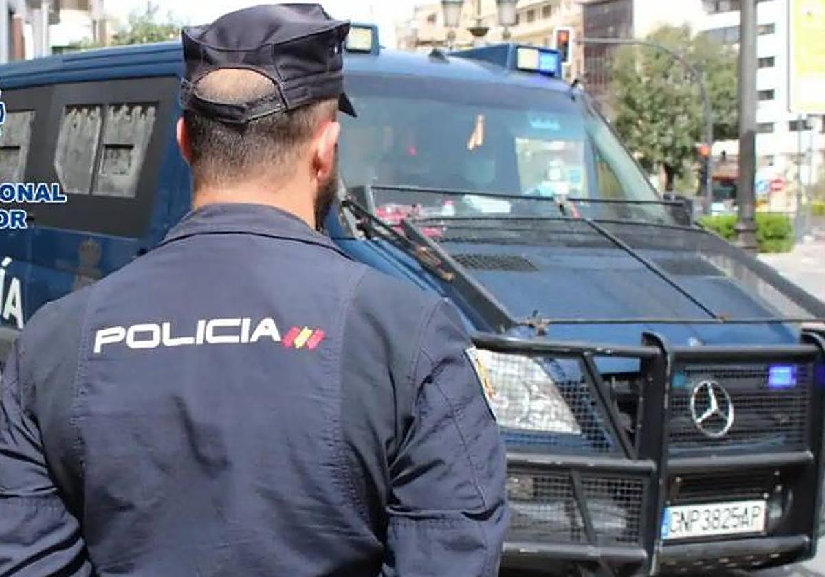 a Policía Nacional encontró 300 plantas en un piso situado en la Avenida de Dílar.