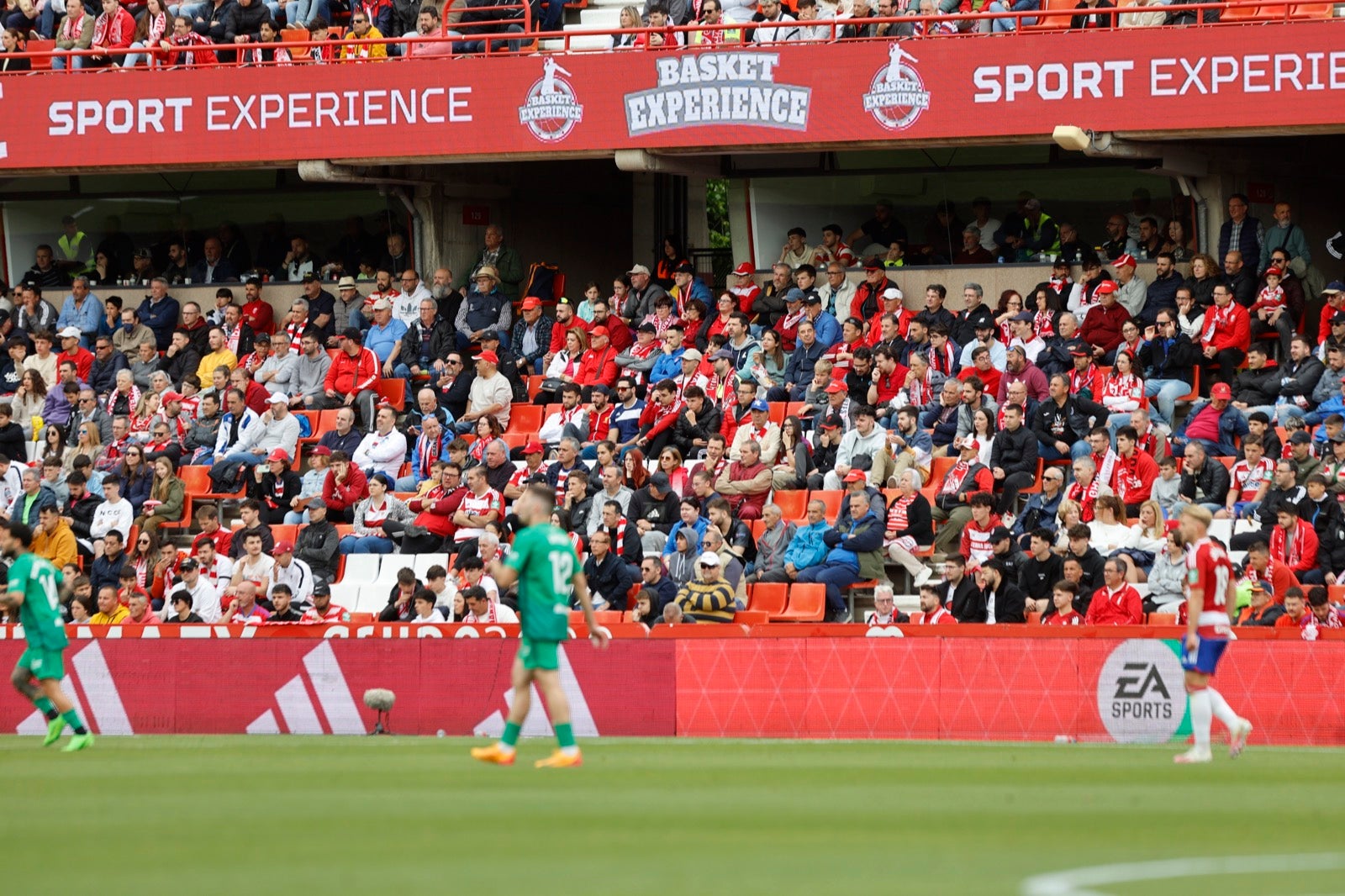 Encuéntrate en la grada en el partido entre Granada y Osasuna