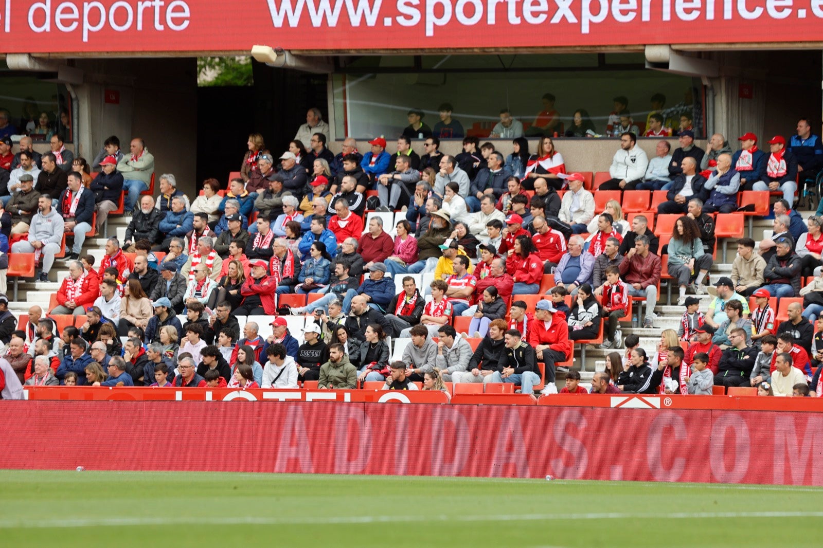 Encuéntrate en la grada en el partido entre Granada y Osasuna