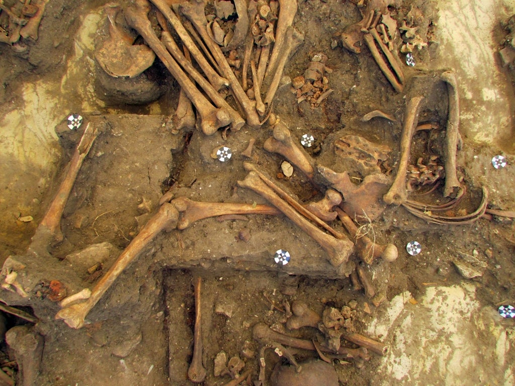 Restos en una exhumación junto al cementerio de Jimena de la Frontera (Cádiz).