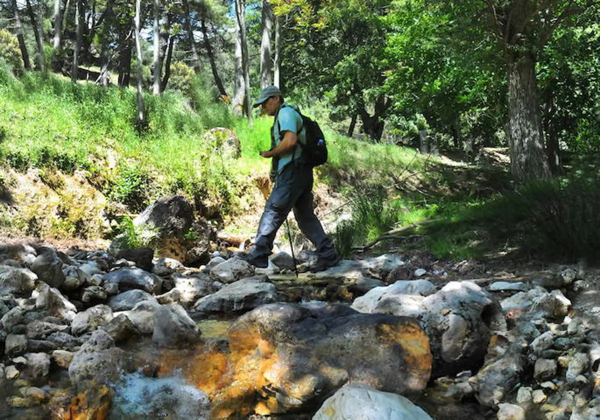 Un paraíso a quince minutos de Granada | Ideal