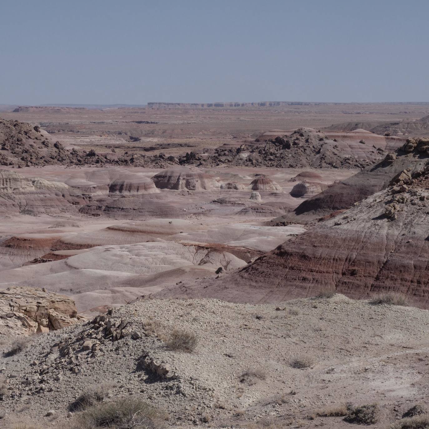 El álbum de fotos del viaje a Marte