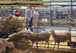 Feria ganadera de La Carolina.