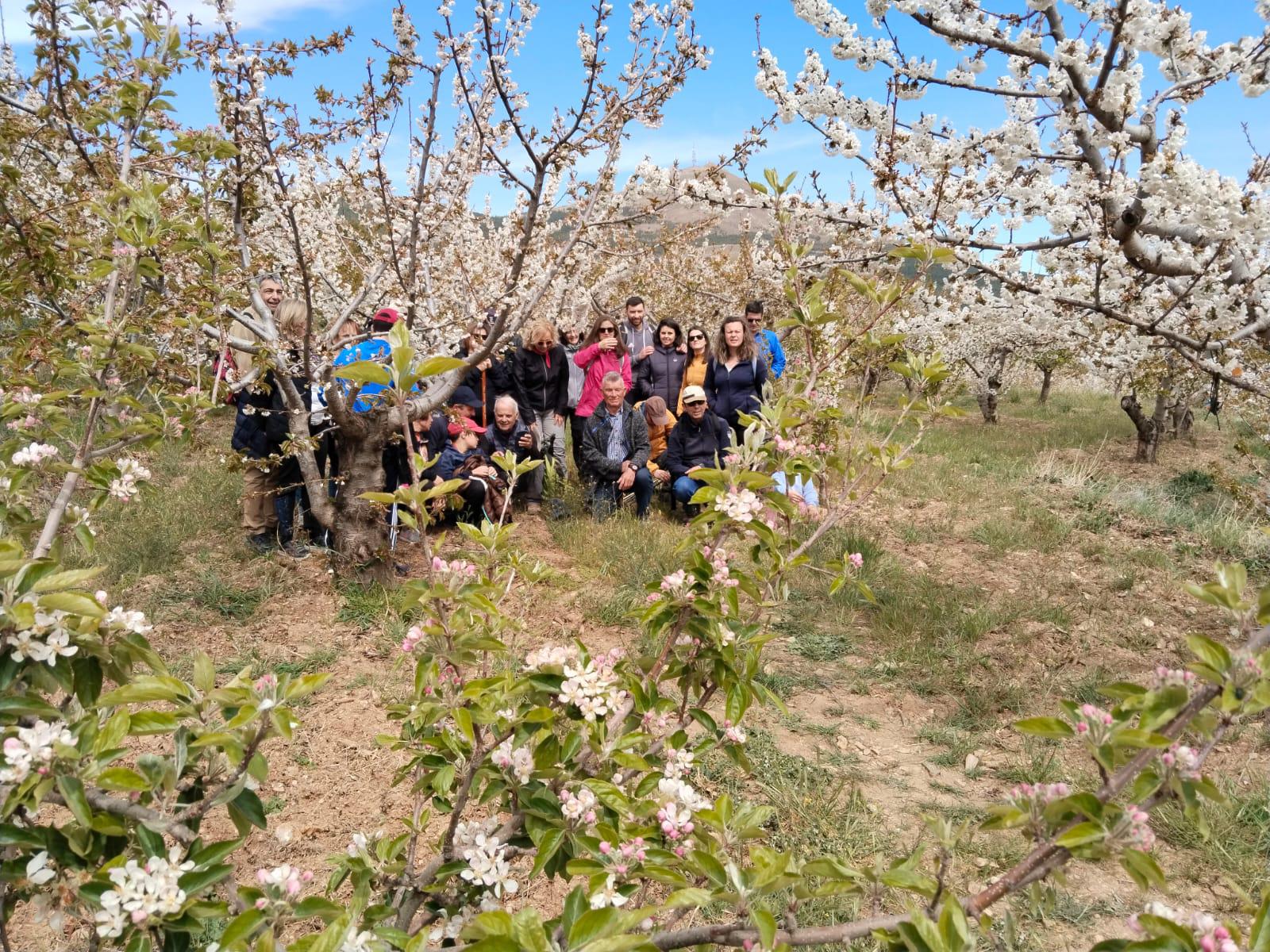 La ruta de los cerezos de Velefique, magia en Los Filabres
