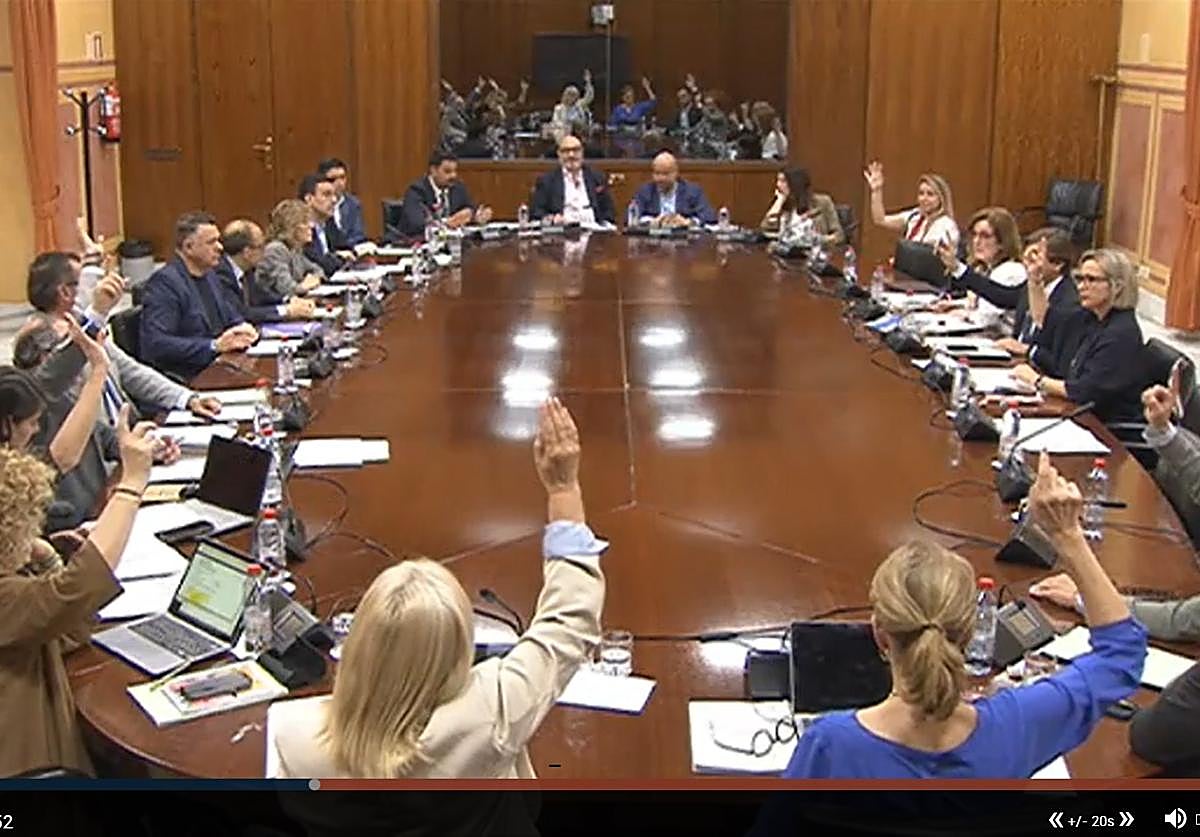 Momento de la votación del dictamen.