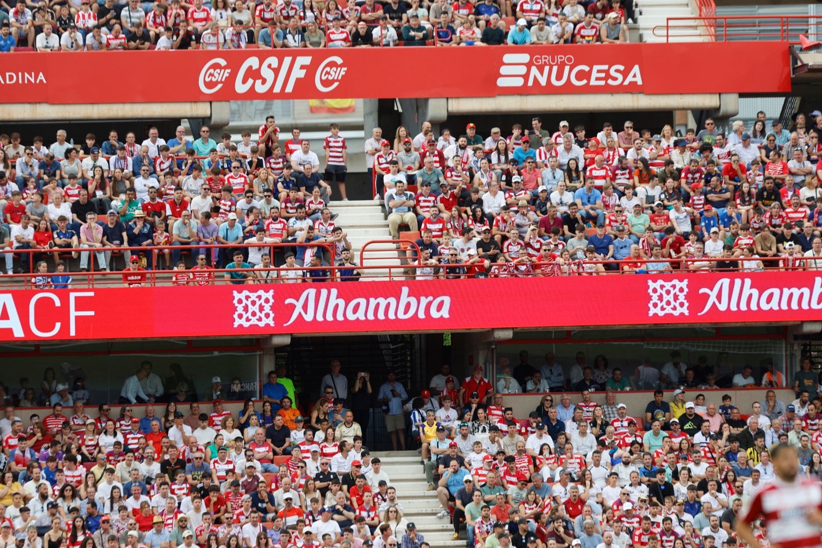 Encuéntrate en la grada en el partido entre Granada y Real Madrid