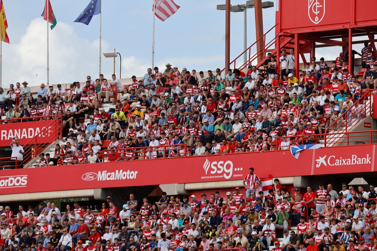 Encuéntrate en la grada en el partido entre Granada y Real Madrid