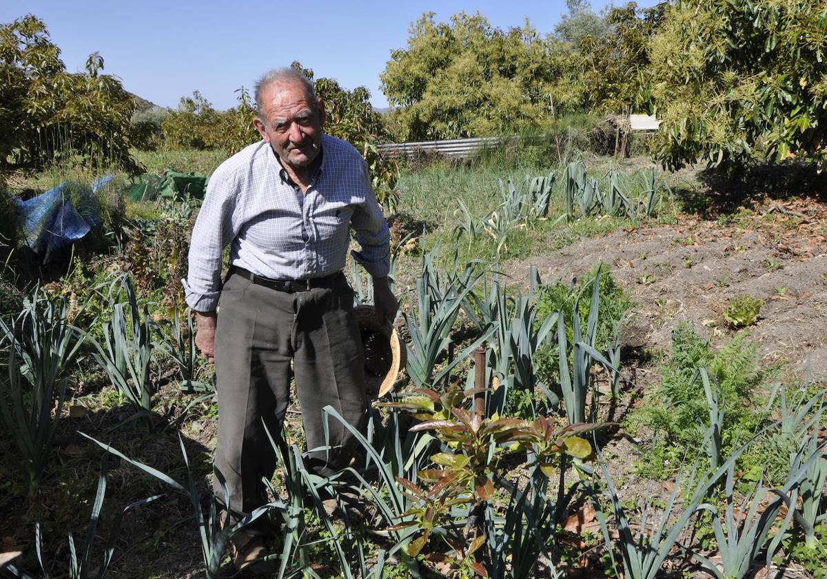 Juan Antonio Viana López, de 95 años, en su finca.