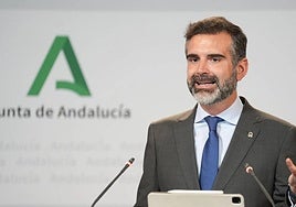 El portavoz del Ejecutivo autonómico, Ramón Fernández-Pacheco.