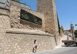 El jardín vertical instalado junto a la Carrera de Jesús y, a la derecha, la toma de agua.